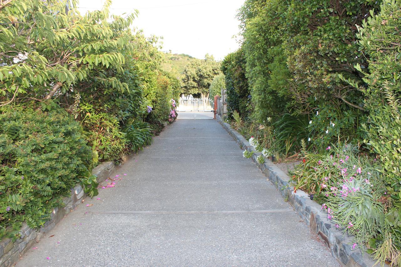 Casa Felina Apartment Wellington Exterior foto